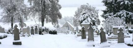 Fictional Absence - Chapter 4: After the Funeral