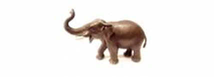 The blind men, the elephant and the zoo