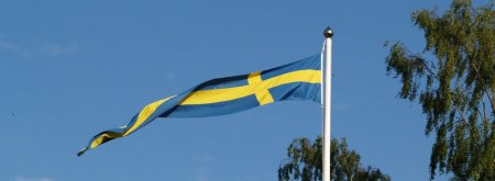 Swedish Flag